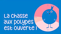 La chasse aux polypes est ouverte !