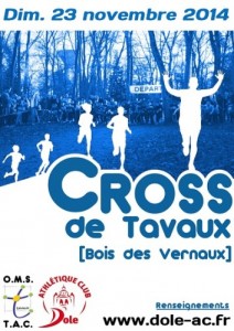 Visuel-cross-tavaux-2014